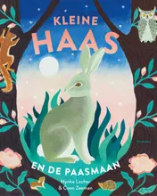 Omslag van Kleine haas en de Paasmaan