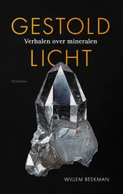 Omslag van Gestold licht