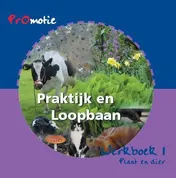 Omslag van Werkboek