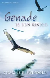 Omslag van Genade is een risico