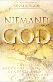 Omslag van Niemand is als God