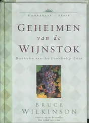 Omslag van Geheimen van de wijnstok