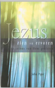 Omslag van Jezus zien en ervaren