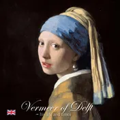 Omslag van Vermeer of Delft