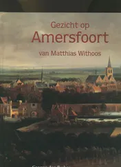 Omslag van Gezicht op Amersfoort