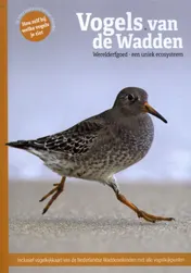 Omslag van Vogels van de Wadden