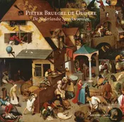 Omslag van Pieter Bruegel de Oudere