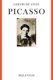 Omslag van Picasso