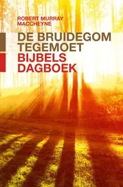Omslag van De bruidegom tegemoet