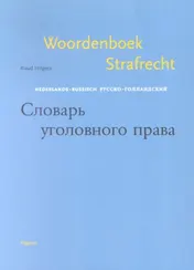 Omslag van Woordenboek strafrecht