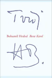 Omslag van Beste Karel