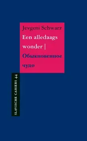 Omslag van Een alledaags wonder
