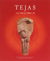 Omslag van Tejas eternal energy