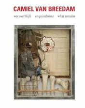 Omslag van Camiel Van Breedam - wat overblijft ce qui subsiste what remains