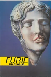 Omslag van Furie