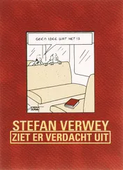 Omslag van Ziet er verdacht uit