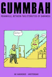 Omslag van Meanwhile, between two eternities of darkness