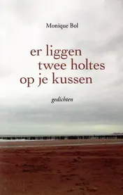 Omslag van Er liggen twee holtes op je kussen