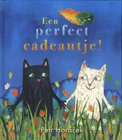 Omslag van Een perfect cadeautje !