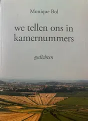 Omslag van We tellen ons in kamernummers