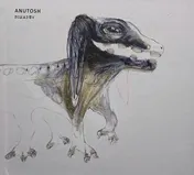Omslag van Anutosh - Schaduw