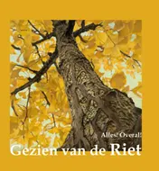 Omslag van Alles! Overal!
