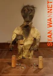 Omslag van Rational animal