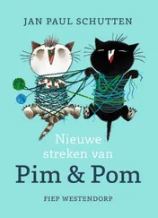 Omslag van Nieuwe streken van Pim & Pom