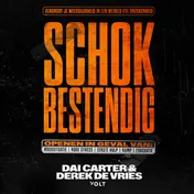 Omslag van Schokbestendig