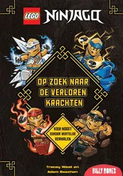 Omslag van Op zoek naar de verloren krachten