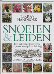 Omslag van Terra's handboek snoeien & leiden