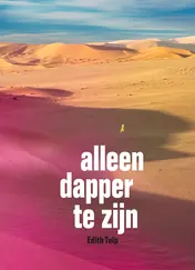 Omslag van Alleen dapper te zijn