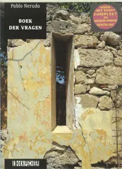 Omslag van Het boek der vragen