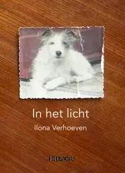 Omslag van In het licht