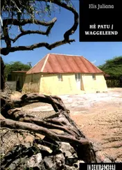 Omslag van Hé Patu / Waggeleend