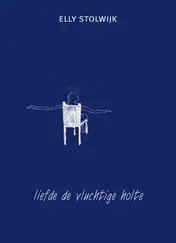 Omslag van Liefde de vluchtige holte