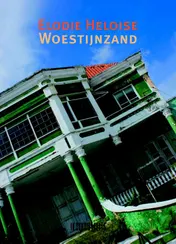 Omslag van Woestijnzand