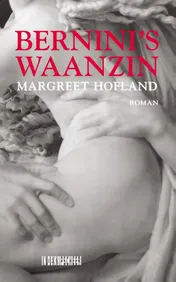 Omslag van Bernini's waanzin
