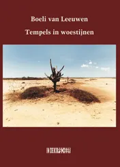 Omslag van Tempels in woestijnen