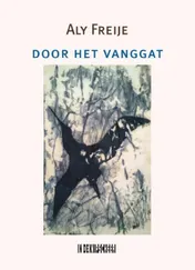 Omslag van Door het vanggat