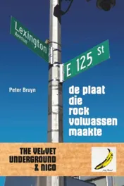 Omslag van De plaat die rock volwassen maakte