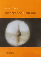 Omslag van Kinderroof & bijzang