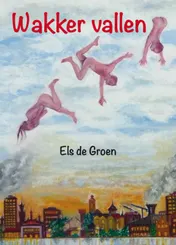 Omslag van Wakker vallen