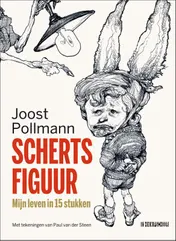Omslag van Schertsfiguur