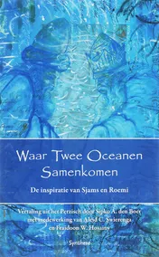 Omslag van Waar twee oceanen samenkomen