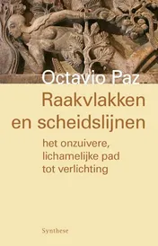 Omslag van Raakvlakken en scheidslijnen