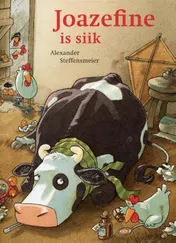 Omslag van Joazefine is siik