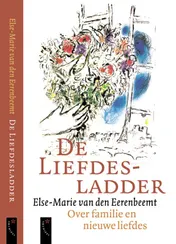 Omslag van De liefdesladder