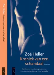 Omslag van Kroniek van een schandaal