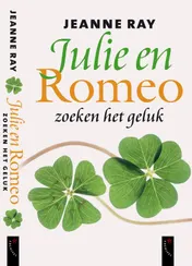 Omslag van Julie en Romeo zoeken het geluk